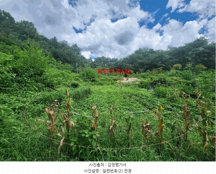 경매 이미지