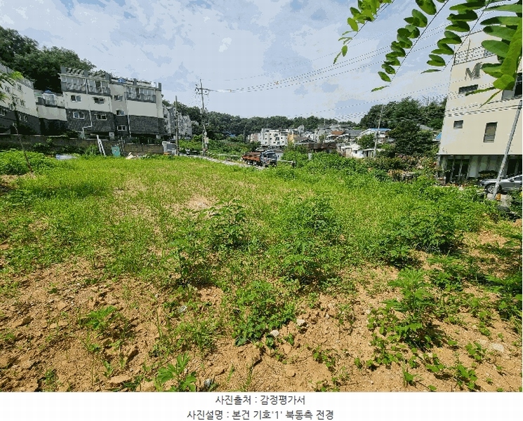 경매 이미지