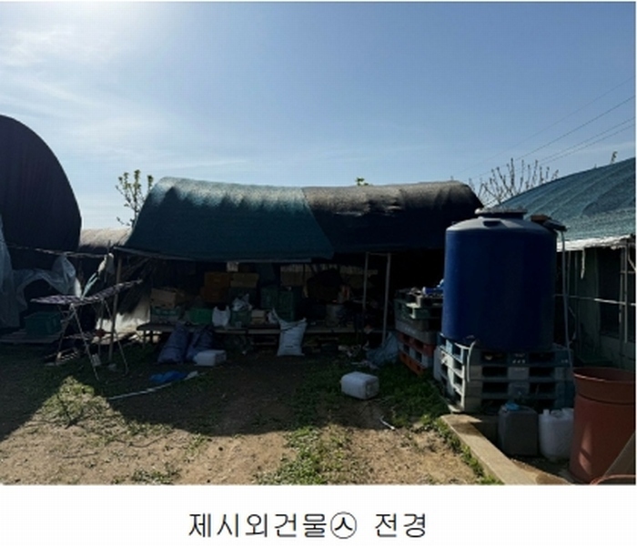 경매 이미지
