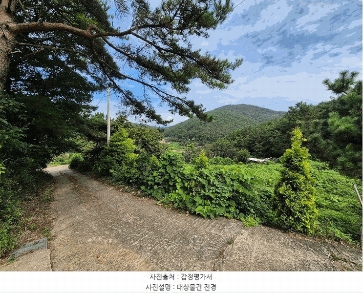 경매 이미지