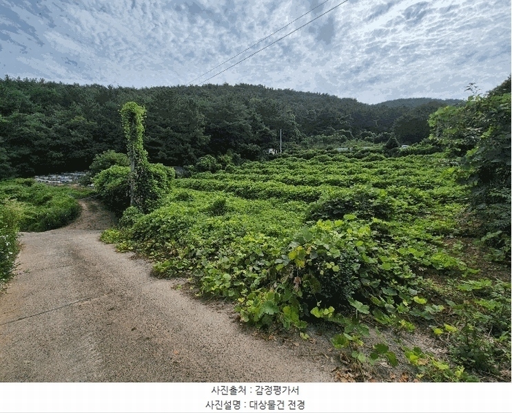 경매 이미지