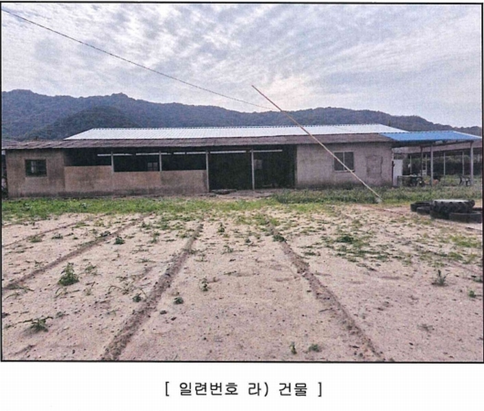 경매 이미지