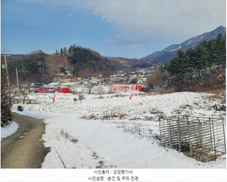 경매 이미지