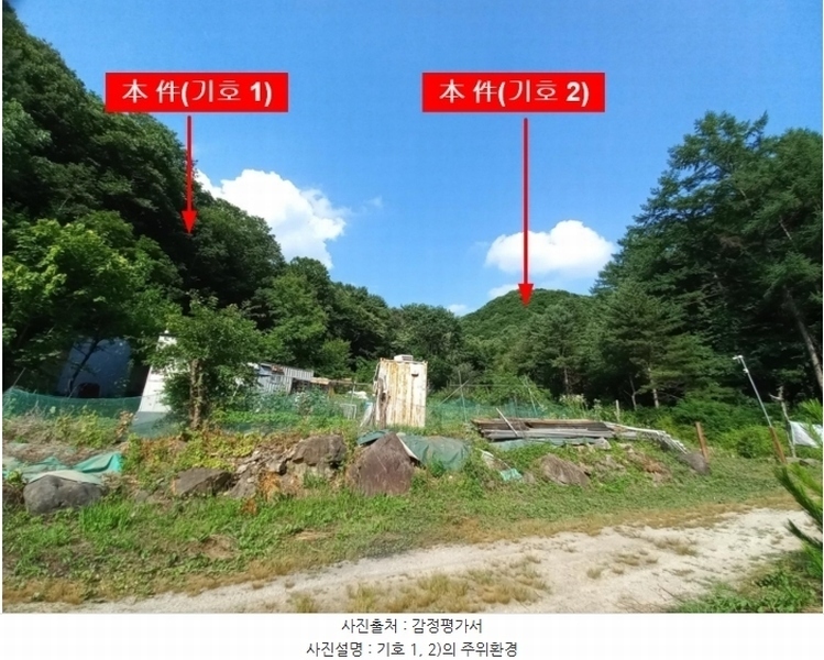 경매 이미지