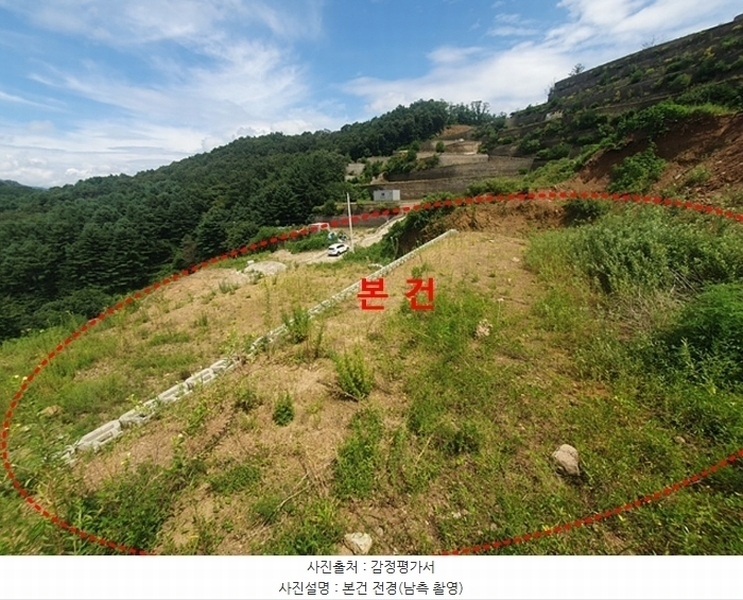 경매 이미지