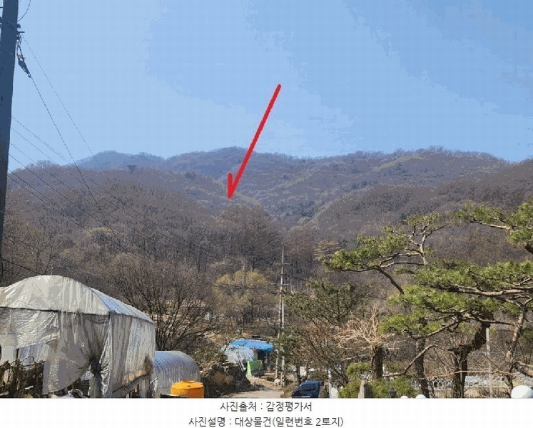 경매 이미지