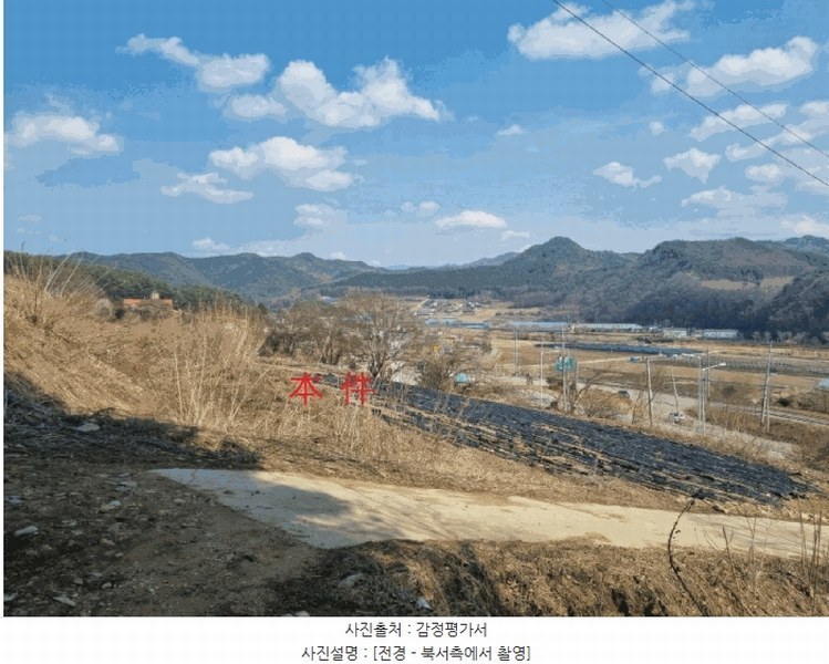 경매 이미지