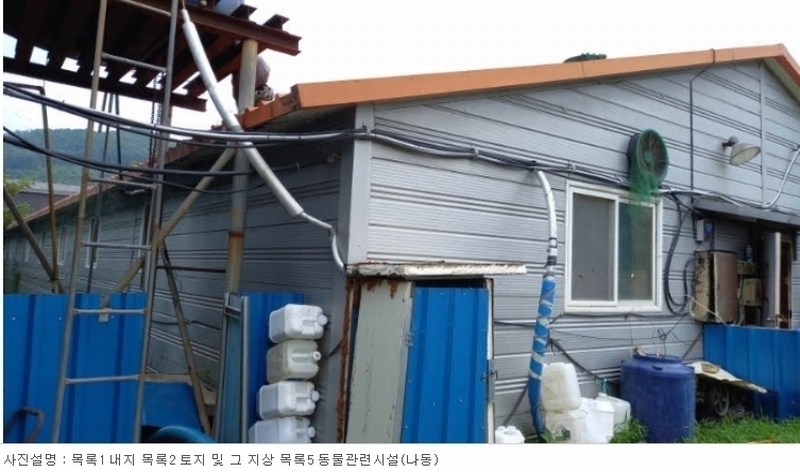 경매 이미지