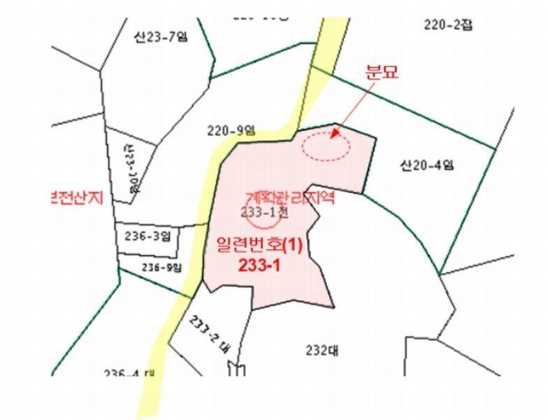 경매 이미지