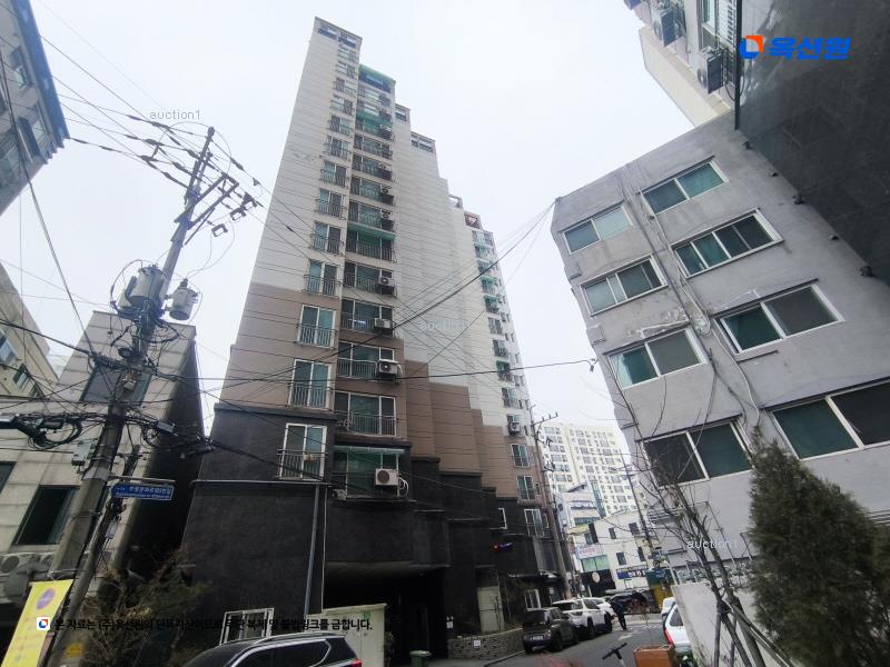 경매 이미지