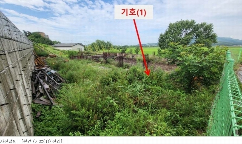 경매 이미지