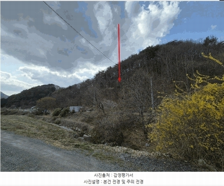 경매 이미지
