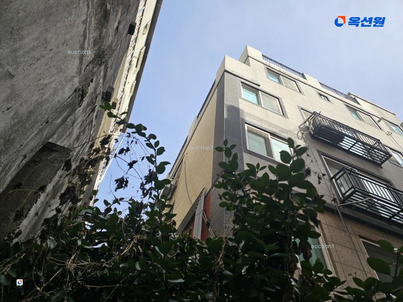 경매 이미지