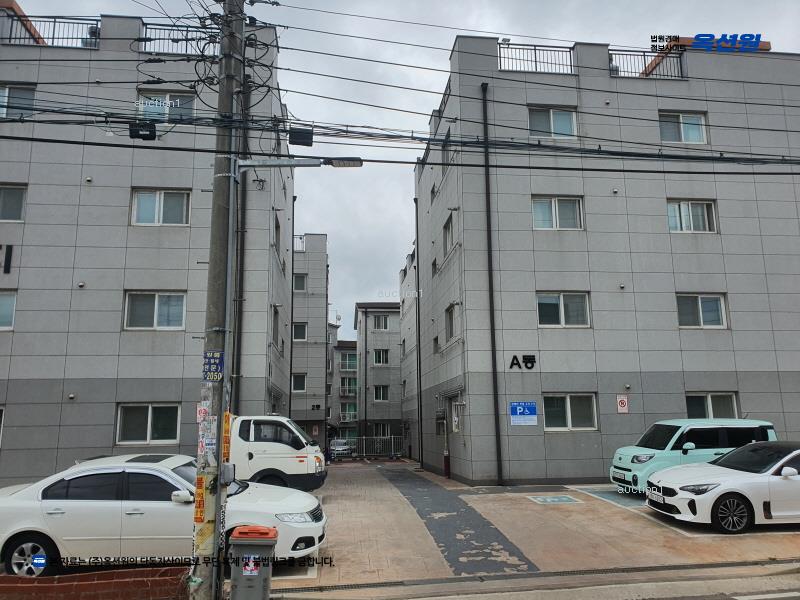 경매 이미지