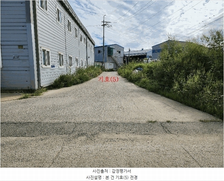 경매 이미지