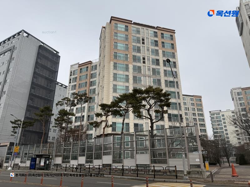 경매 이미지