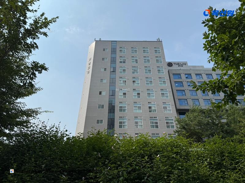 경매 이미지