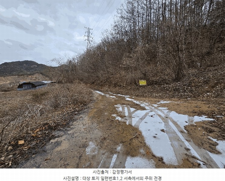 경매 이미지