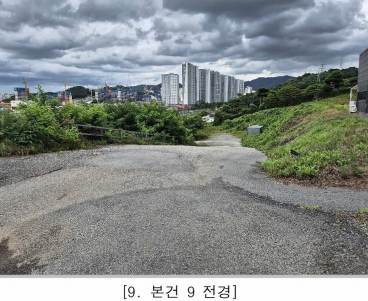 경매 이미지