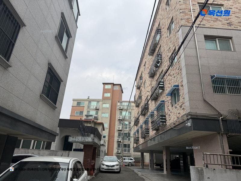 경매 이미지