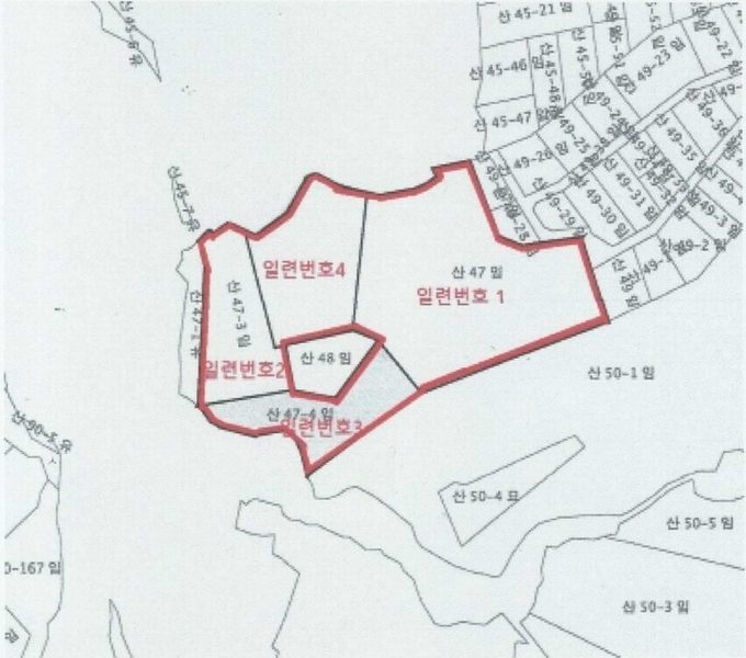 경매 이미지