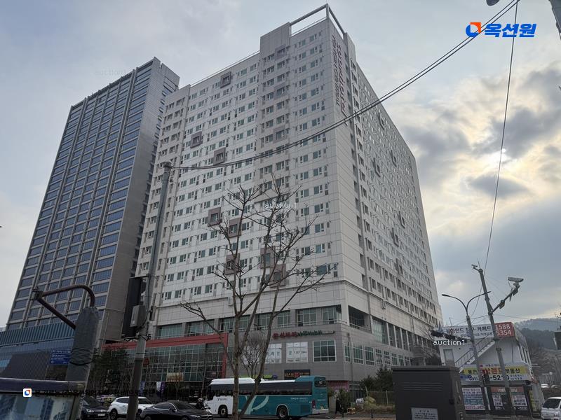 경매 이미지