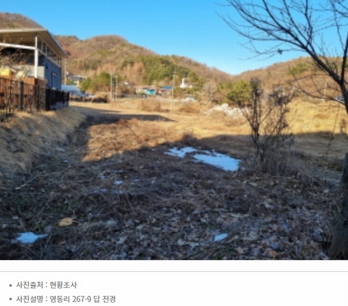 경매 이미지