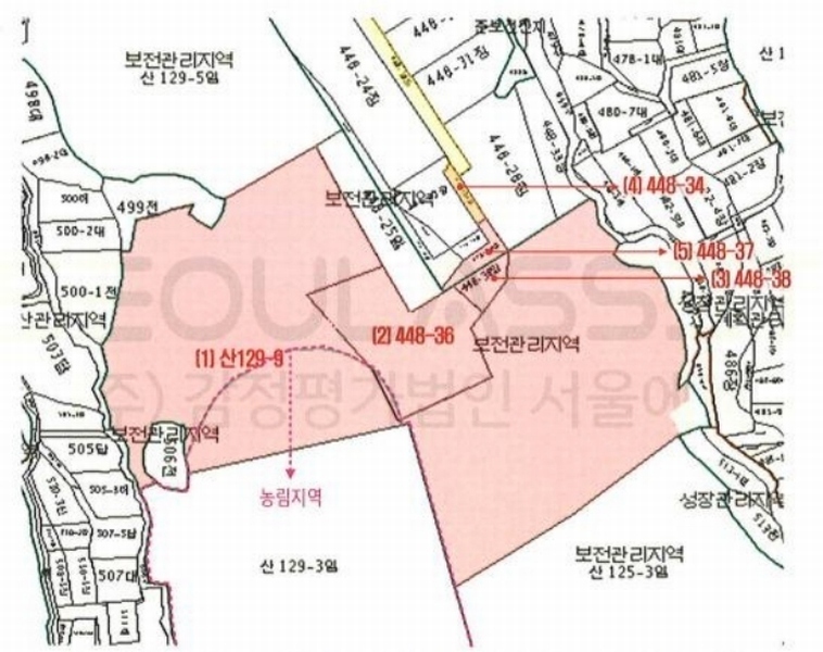 경매 이미지