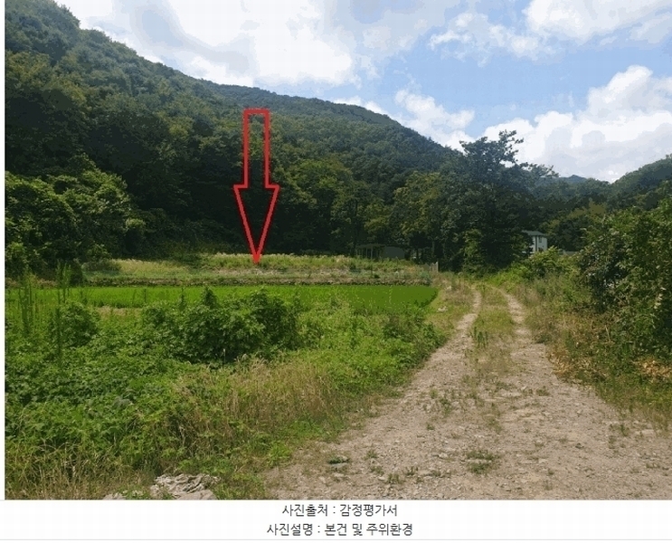 경매 이미지