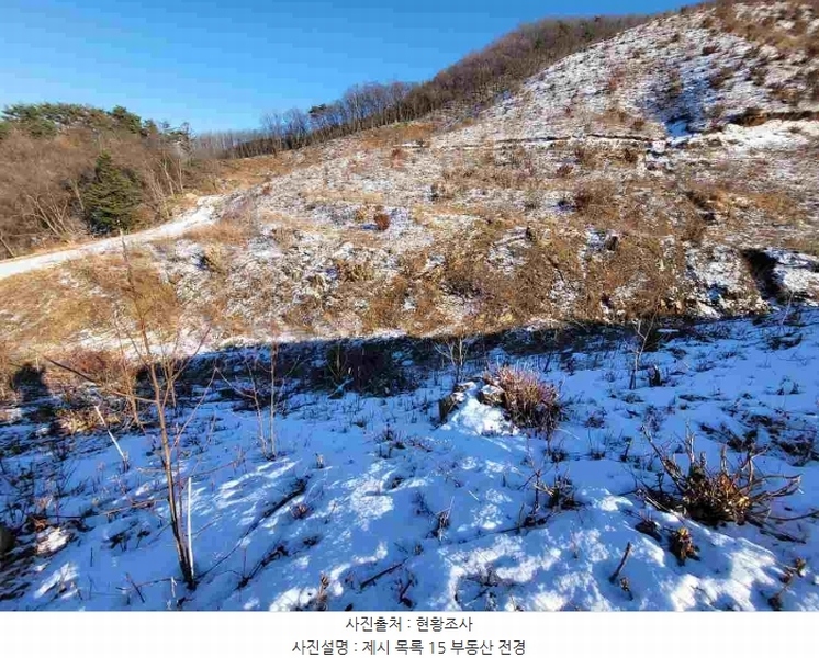 경매 이미지