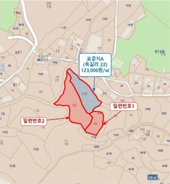경매 이미지