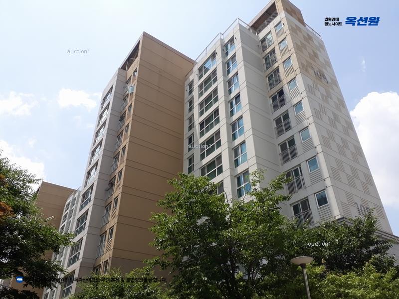 경매 이미지