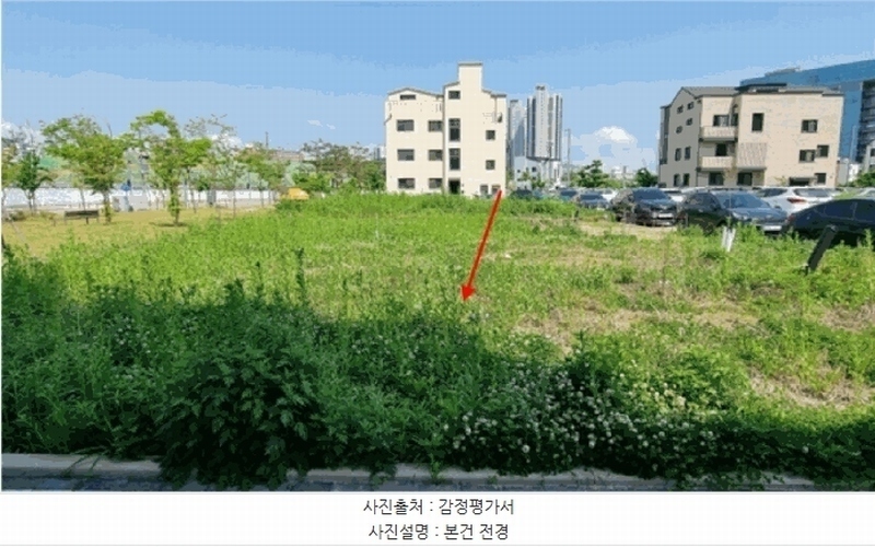 경매 이미지