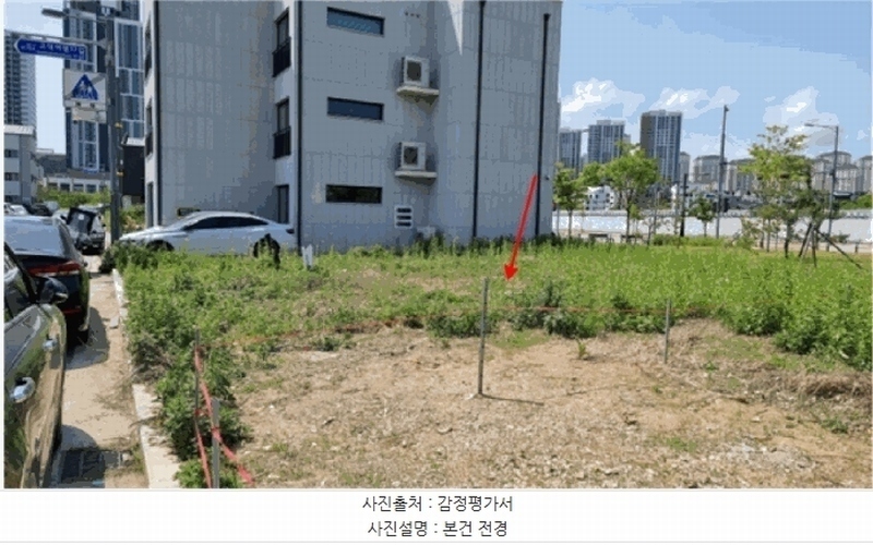 경매 이미지
