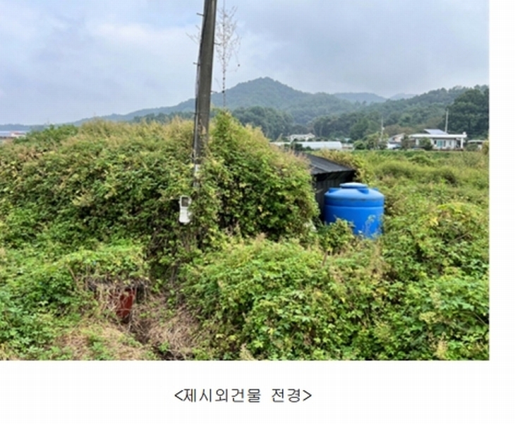 경매 이미지