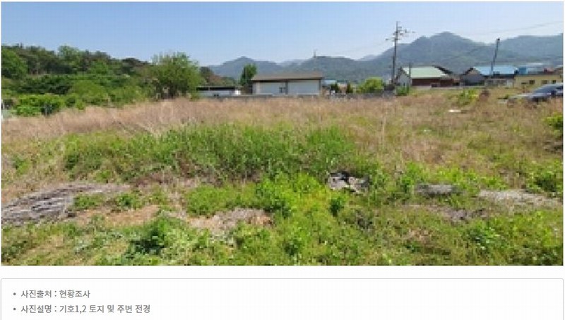 경매 이미지