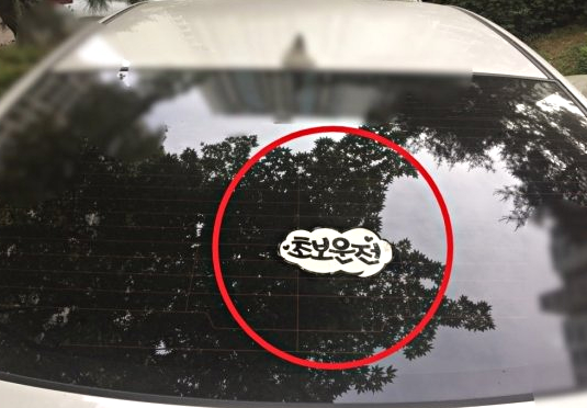 초보운전이 ‘부산’에서의 운전을 경험해보고 쓴 필력 오지는 썰