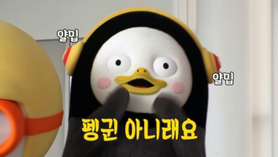요즘 핫한 펭수와 뽀로로 정체성 논란