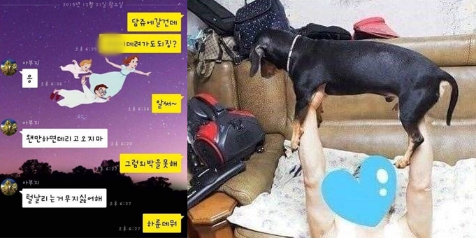 털 달린 동물 집으로 들이지 말라는 아빠 특징