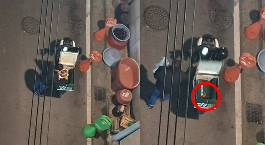 배달거지 현장 검거한 디씨인