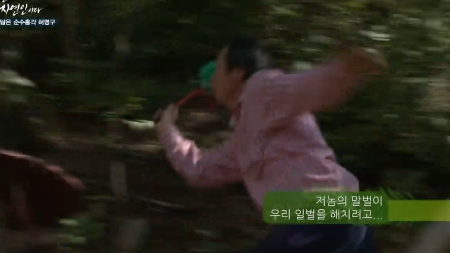 자연인 레전드편으로 불리는 '말벌 헌터'