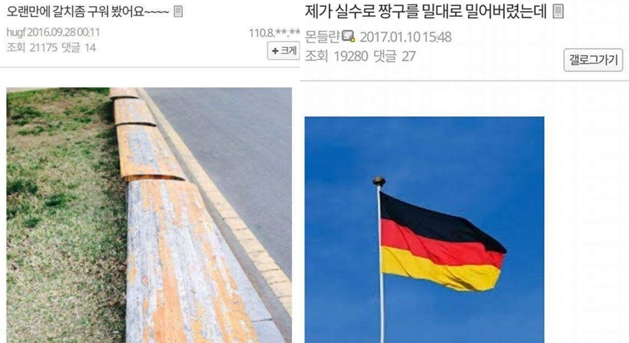 허언증 갤러리 글 모음