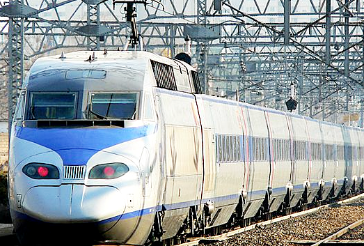 강아지랑 KTX 표 끊고 탔지만..벌금 40만원