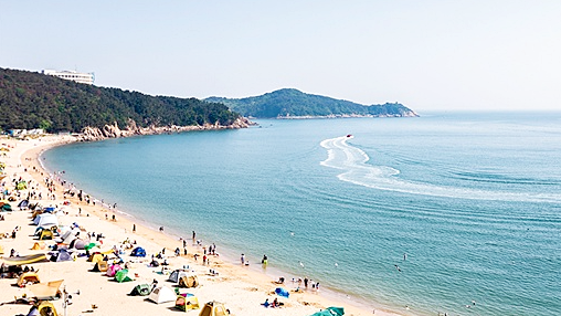 음주운전 만큼 '술 먹고 수영' 절대 금지
