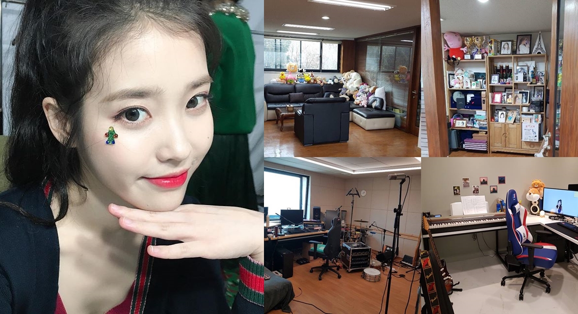 '투기'관련 아이유 소속사 공식입장... "실사용 목적" (전문)