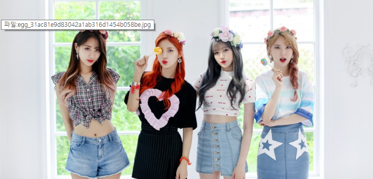 나인뮤지스, 9년 활동 마무리한다 "마지막 일정은 팬미팅"