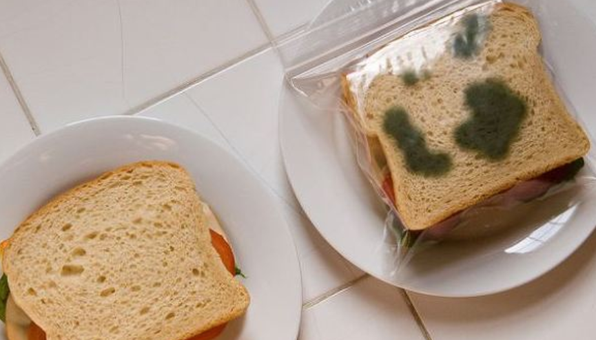 '곰팡이 핀 빵', 곰팡이 부분만 떼고 먹어도 될까?