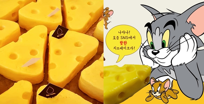 만화와 똑같은 모양으로 SNS에서 핫한 '제리 치즈케이크'