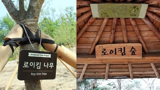 강남 한복판 '로이킴 숲' 존폐 논란, 시민들 "꺼림직해"