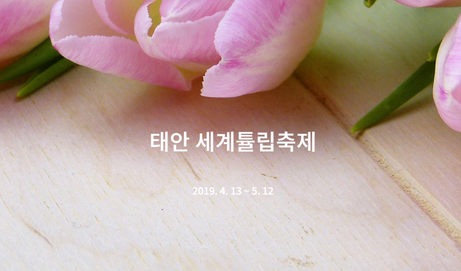 세계 5대 튤립축제 '태안 세계 튤립축제' 개막, 봄의 화원 추억을 이야기하다